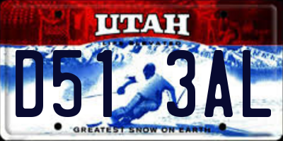 UT license plate D513AL