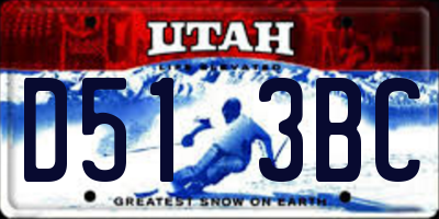 UT license plate D513BC