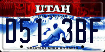 UT license plate D513BF