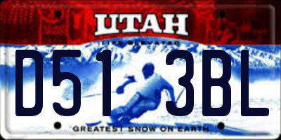 UT license plate D513BL