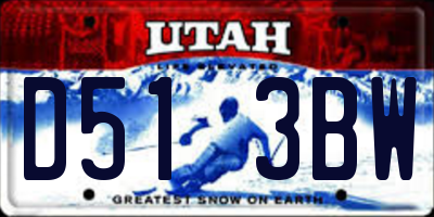 UT license plate D513BW