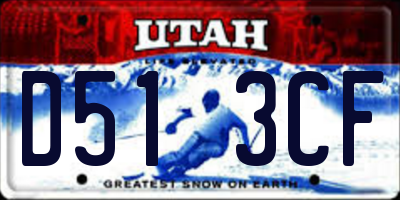 UT license plate D513CF
