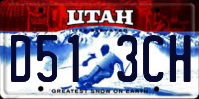 UT license plate D513CH