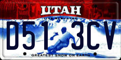 UT license plate D513CV