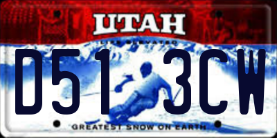UT license plate D513CW