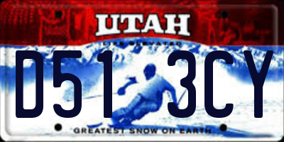 UT license plate D513CY