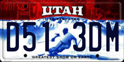 UT license plate D513DM