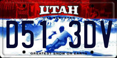 UT license plate D513DV