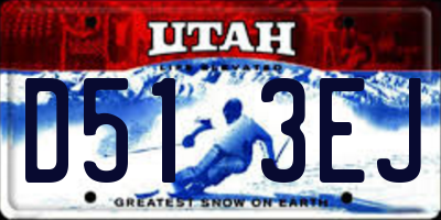 UT license plate D513EJ