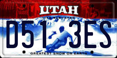UT license plate D513ES