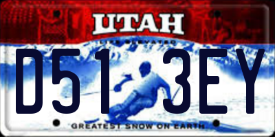 UT license plate D513EY