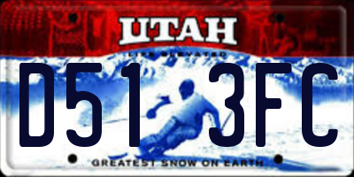 UT license plate D513FC