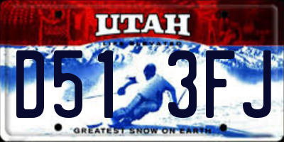 UT license plate D513FJ