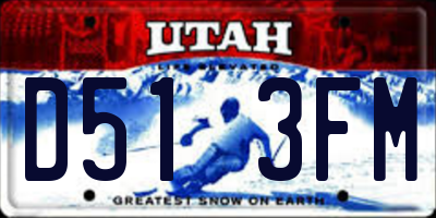 UT license plate D513FM