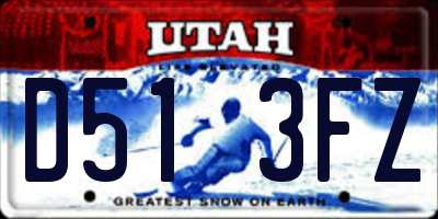 UT license plate D513FZ