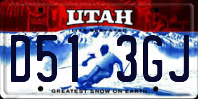UT license plate D513GJ