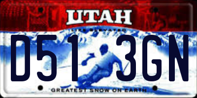 UT license plate D513GN