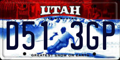 UT license plate D513GP