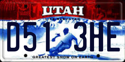 UT license plate D513HE