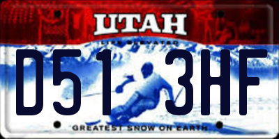 UT license plate D513HF
