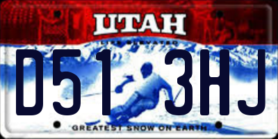 UT license plate D513HJ