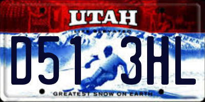 UT license plate D513HL