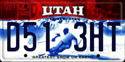 UT license plate D513HT