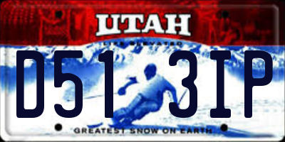 UT license plate D513IP