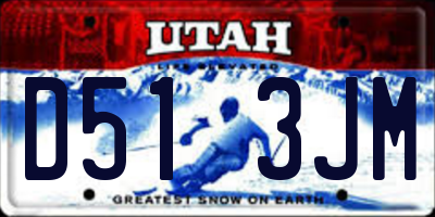 UT license plate D513JM
