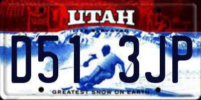 UT license plate D513JP