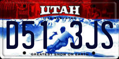 UT license plate D513JS