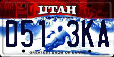 UT license plate D513KA