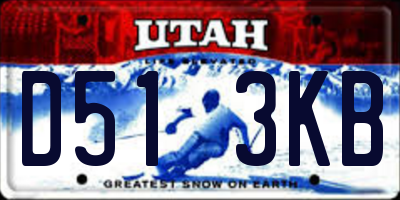UT license plate D513KB