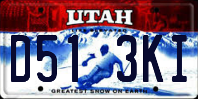 UT license plate D513KI