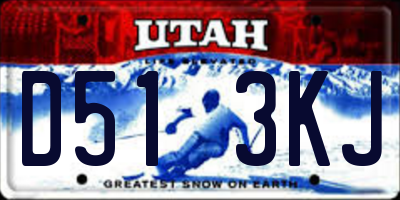 UT license plate D513KJ