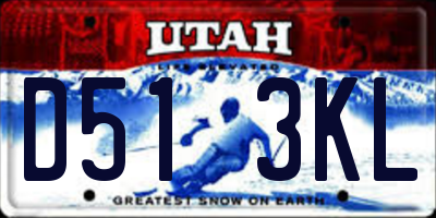 UT license plate D513KL