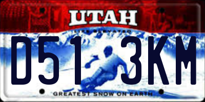 UT license plate D513KM