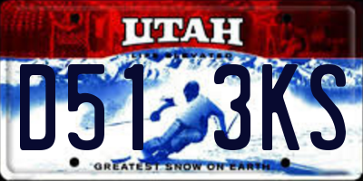 UT license plate D513KS