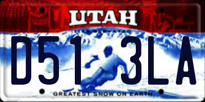 UT license plate D513LA