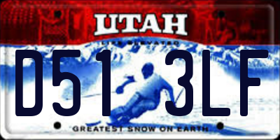UT license plate D513LF