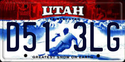 UT license plate D513LG