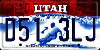 UT license plate D513LJ
