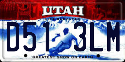 UT license plate D513LM