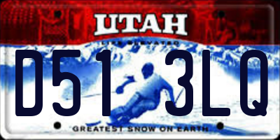 UT license plate D513LQ