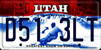 UT license plate D513LT