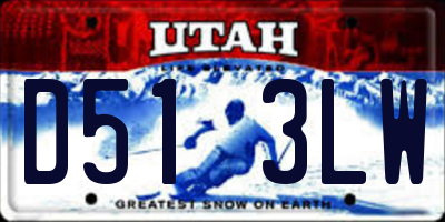 UT license plate D513LW