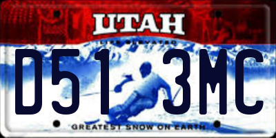 UT license plate D513MC