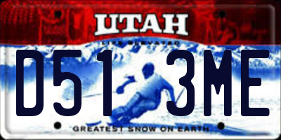 UT license plate D513ME