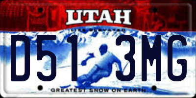 UT license plate D513MG