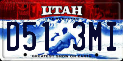 UT license plate D513MI